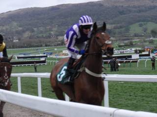 Race 7 b Quite By Chance.jpg