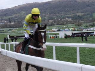 Race 7 c Theinval.jpg