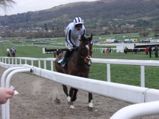 Race 7 f Rock The World.jpg