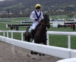 Race 7 g Solita.jpg