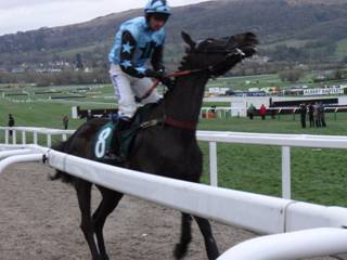 Race 7 k Bright New Dawn.jpg