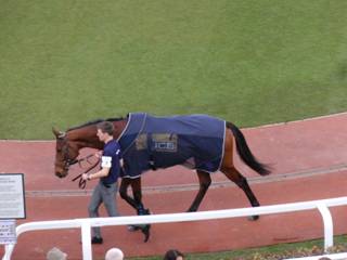 7 Sussex Ranger 2.jpg