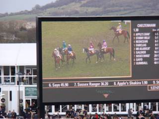 Race 1 f.jpg