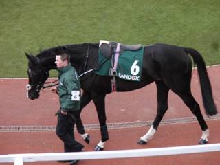 6 Le Richebourg 2.jpg
