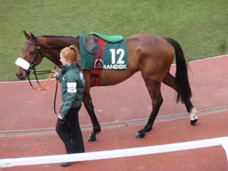 12 Brelade 1.jpg