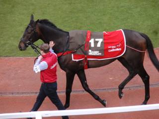 17 Robin Waters 1.jpg