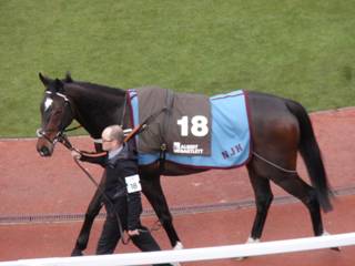 18 Santini 1.jpg