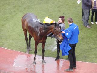 winner Kilbricken Storm 3.jpg