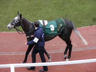 3 Bachasson 1.jpg