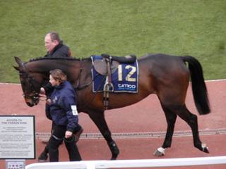 12 Our Duke 1.jpg