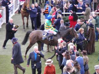 3rd placed Anibale Fly.jpg