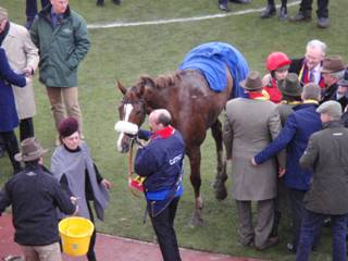 winner Native River 1.jpg