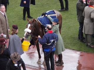 winner Native River 2.jpg