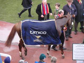 winner Native River 14.jpg