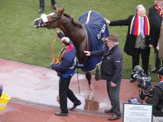 winner Native River 17.jpg