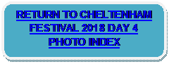 Rounded Rectangle: RETURN TO CHELTENHAM FESTIVAL 2018 DAY 4 PHOTO INDEX