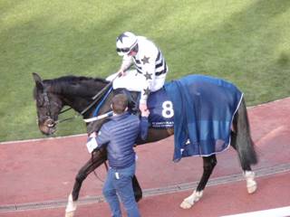 8 Minella For Value 2.jpg