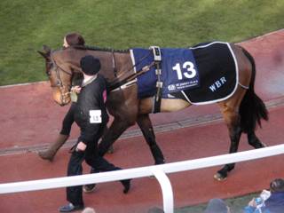 13 Shantou Magic 2.jpg