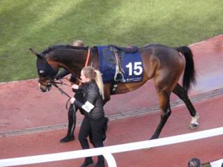 15 Sir Jack Yeats 1.jpg