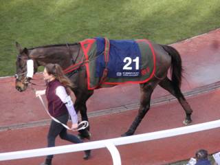 21 Warden Hill 2.jpg