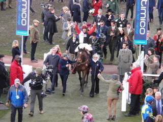 winner Pacha Du Polder 1.jpg