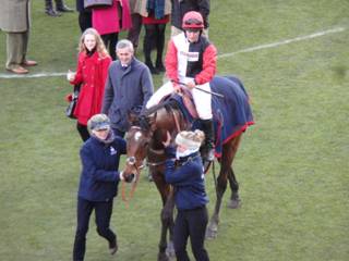 winner Pacha Du Polder 2.jpg