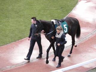 5 Early Doors 3.jpg