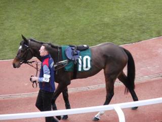 10 Couer De Lion 3.jpg
