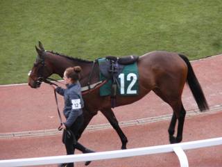 12 Delire D'estruval 2.jpg