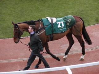 21 Deal D'estruval 2.jpg