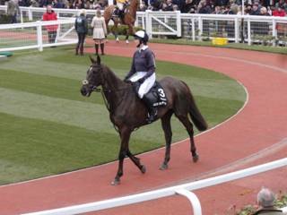 ROR 9t.jpg