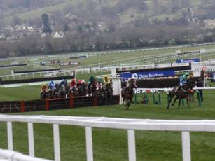 Race 5f.jpg