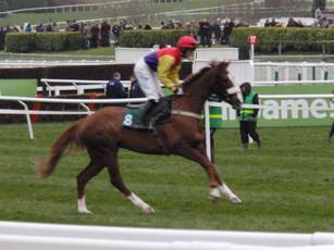 Race 6a.jpg