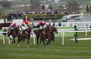 Race 6f.jpg