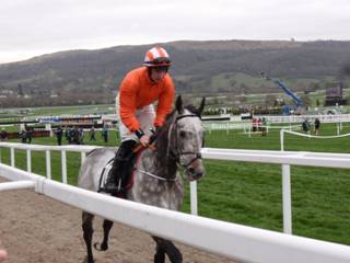 Race 1 d Labaik.jpg