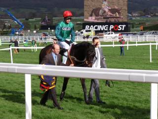 Race 4 h Sceau Royal.jpg