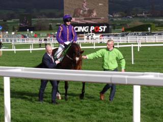Race 4 j Wicklow Brave.jpg