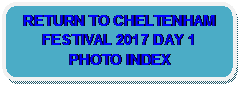 Rounded Rectangle: RETURN TO CHELTENHAM FESTIVAL 2017 DAY 1 PHOTO INDEX