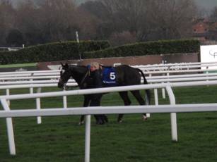 Race 7 g Foxtail Hill.jpg