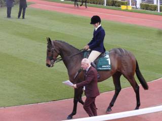 Annacotty 6.jpg