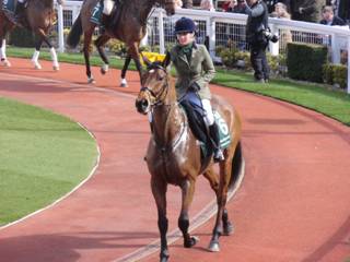 Dodging Bullets 1.jpg