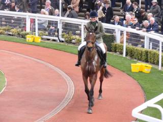Dodging Bullets 3.jpg