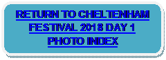 Rounded Rectangle: RETURN TO CHELTENHAM FESTIVAL 2018 DAY 1 PHOTO INDEX