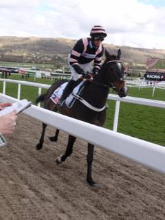 Race 1 f Claimantakinforgan.jpg