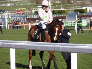 Race 4 f Faugheen.jpg