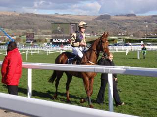 Race 4 l Yorkhill.jpg