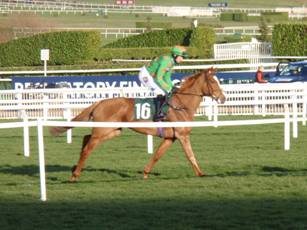Race 6 a Ms Parfois.jpg