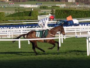 Race 6 d Rathvinden.jpg