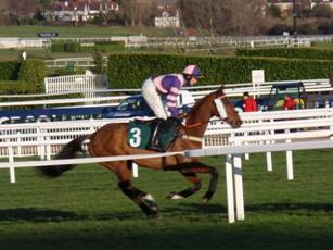 Race 6 i Duel At Dawn.jpg