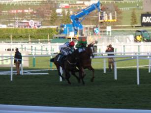 Race 6 l.jpg